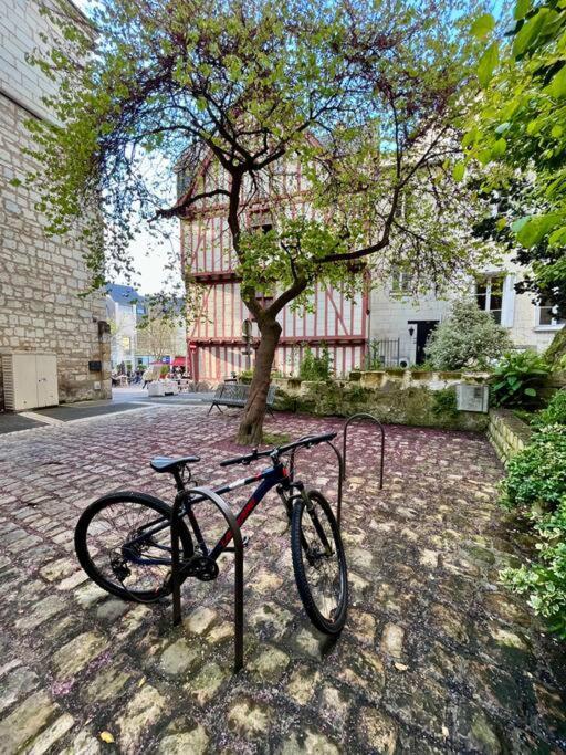 Appartement Cosy Hypercentre Place St Pierre Saumur Ngoại thất bức ảnh