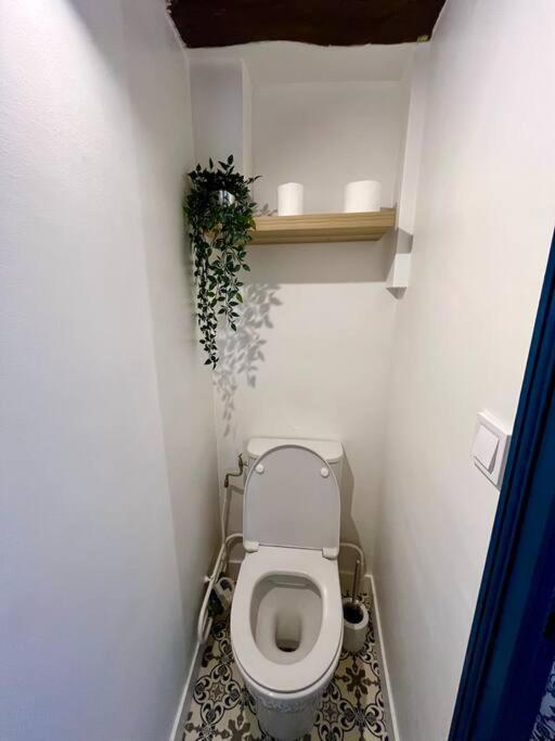 Appartement Cosy Hypercentre Place St Pierre Saumur Ngoại thất bức ảnh